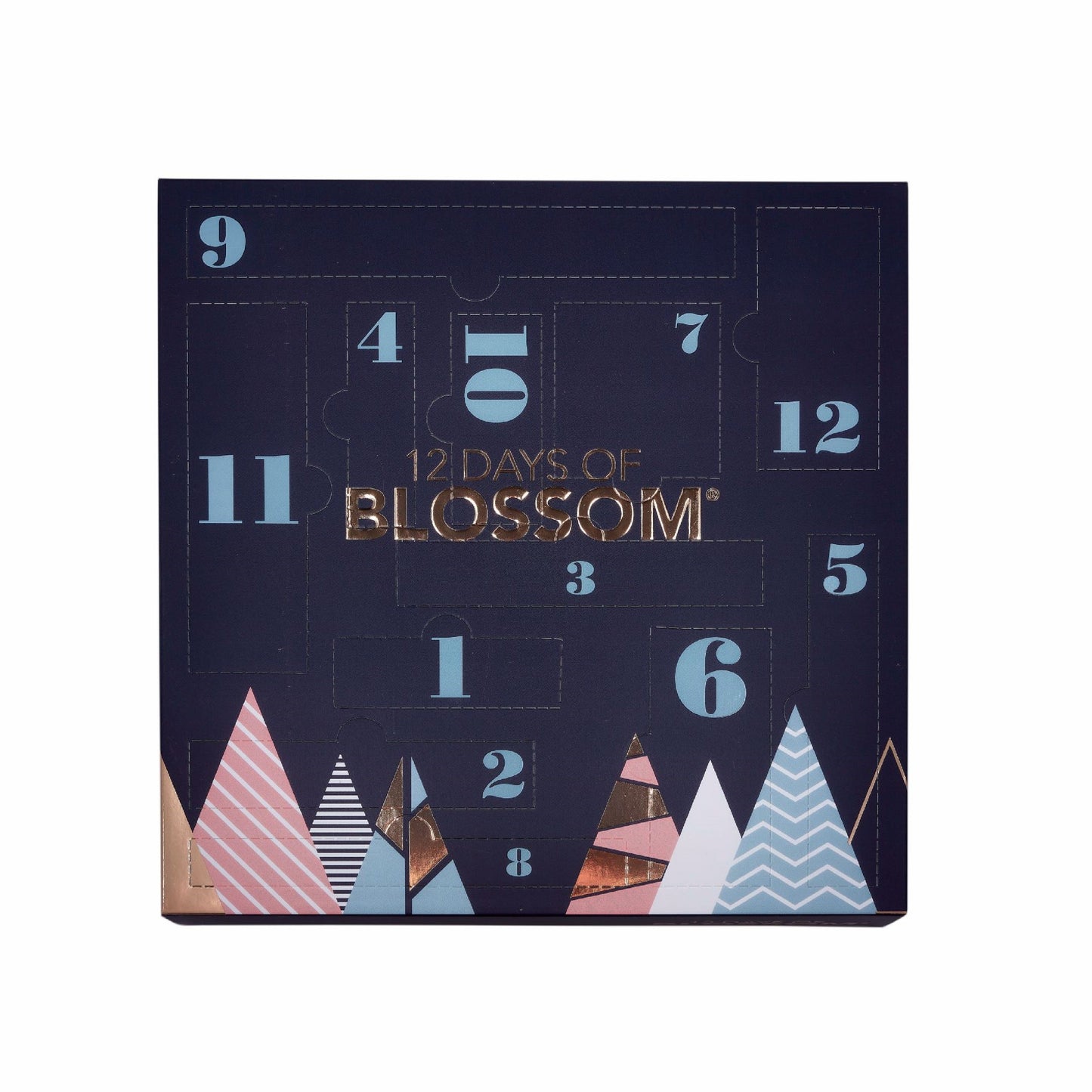 Blossom Advent Calendar - 12 days of Blossom - BL-AC2