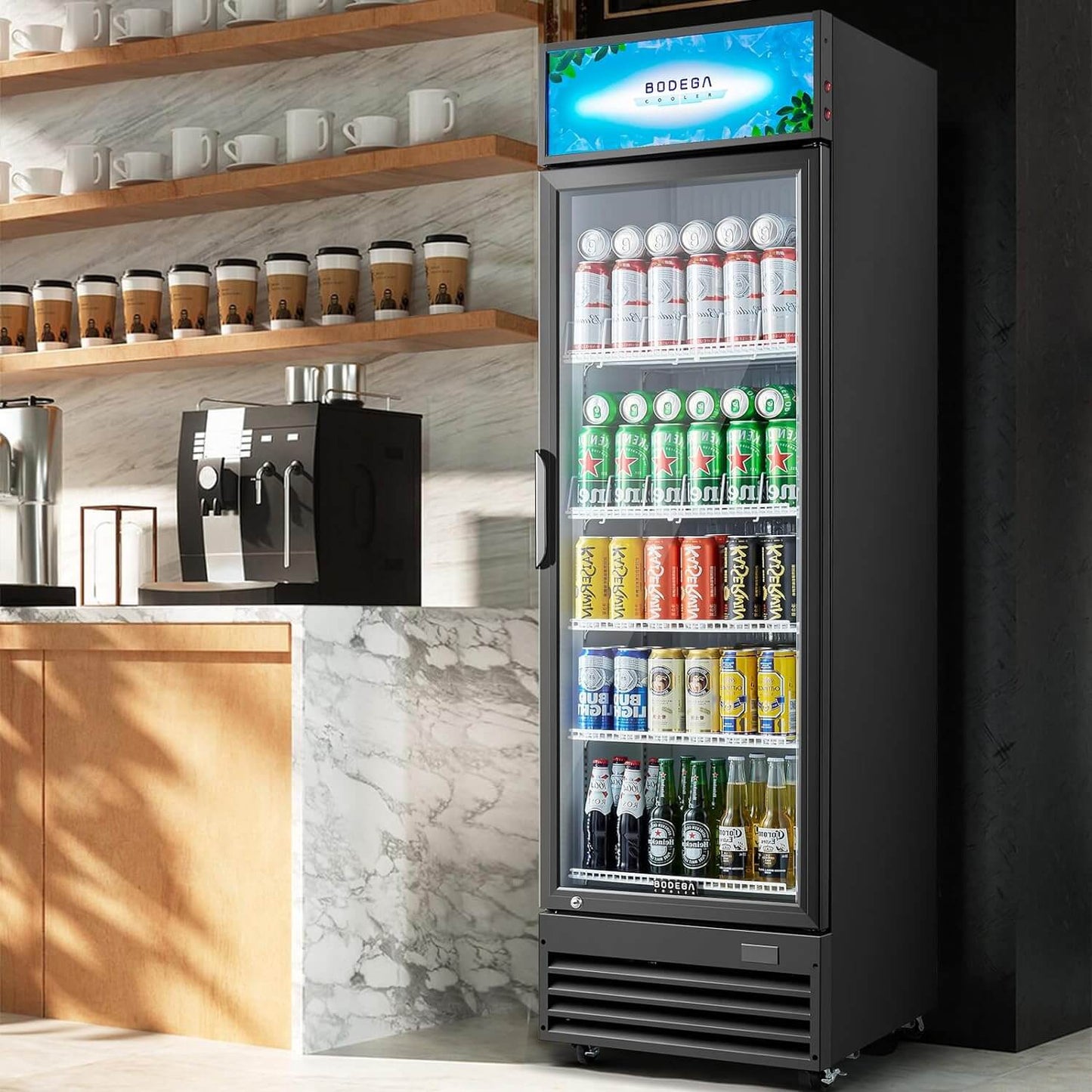 BODEGAcooler Commercial Glass Door Display Refrigerator Merchandiser 12.2 Cu. Ft