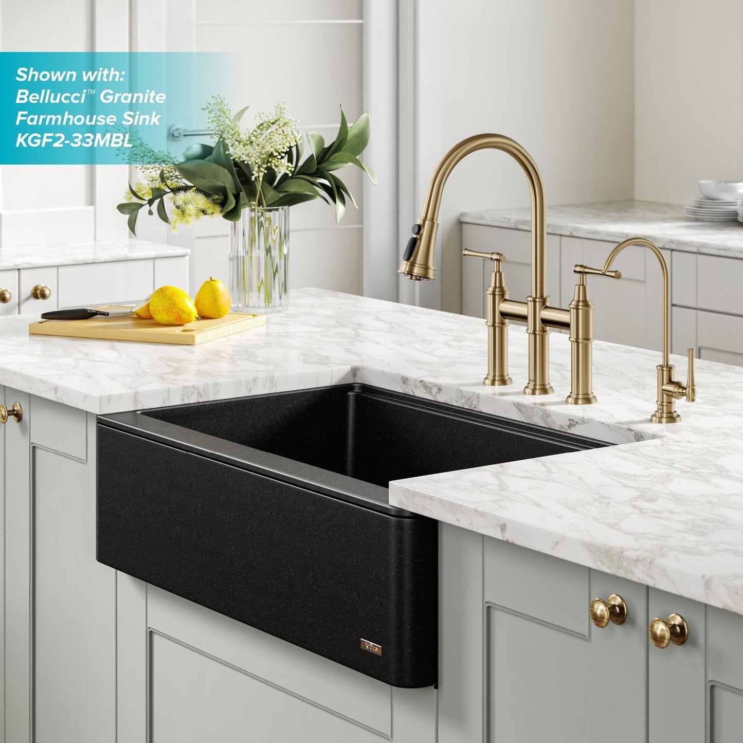 KRAUS Allyn Transitional Bridge Kitchen Faucet & Water Filter Faucet in Brushed Gold