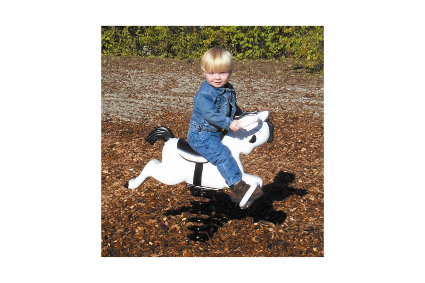 Adam Equipment Sports Play Mustang Easy Rider