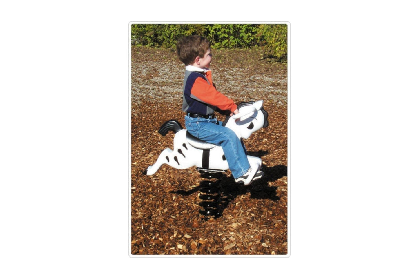 Adam Equipment SportsPlay Zebra Easy Rider