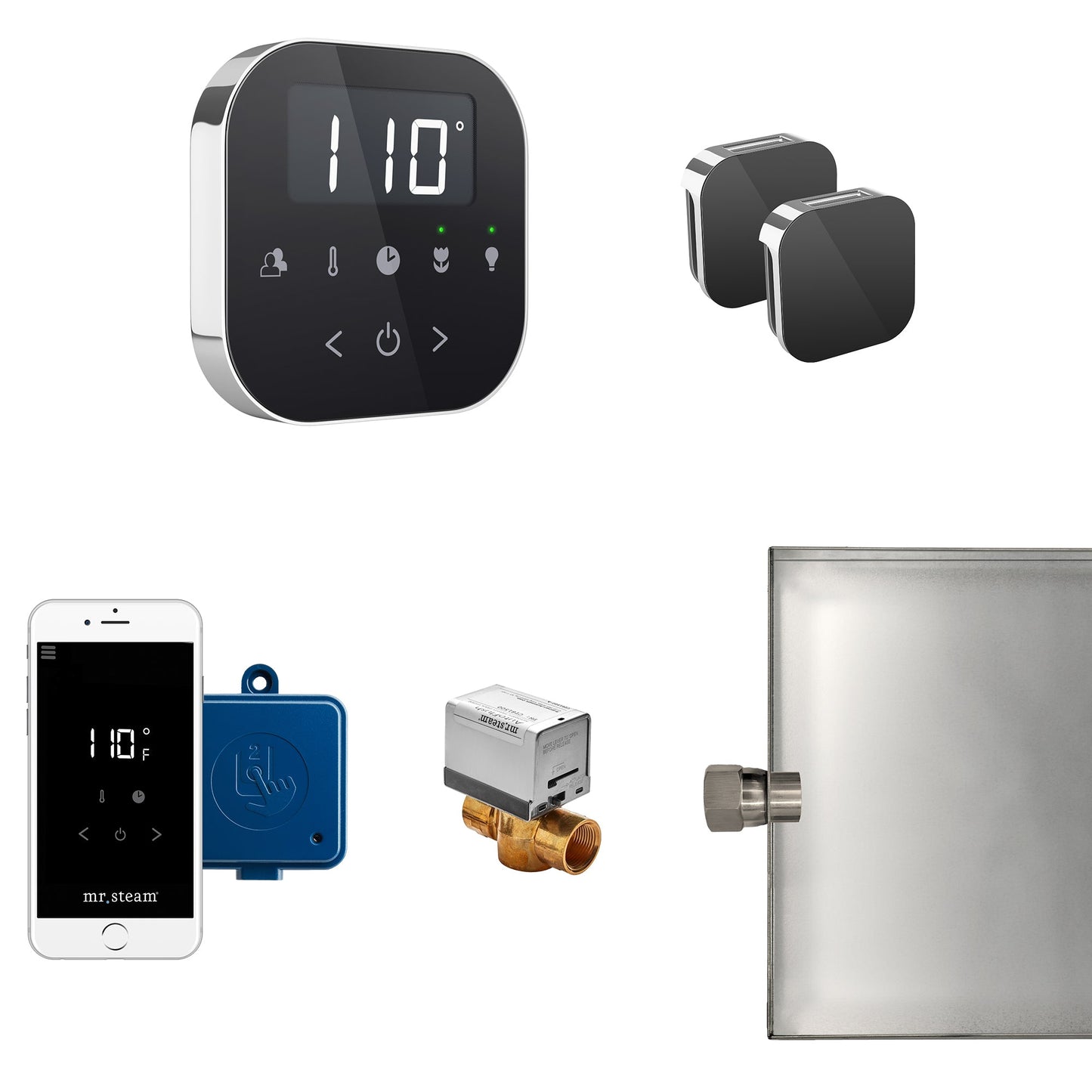 Mr Steam AirButler Max Package Black Polished Brass - ABUTLERXB-PB