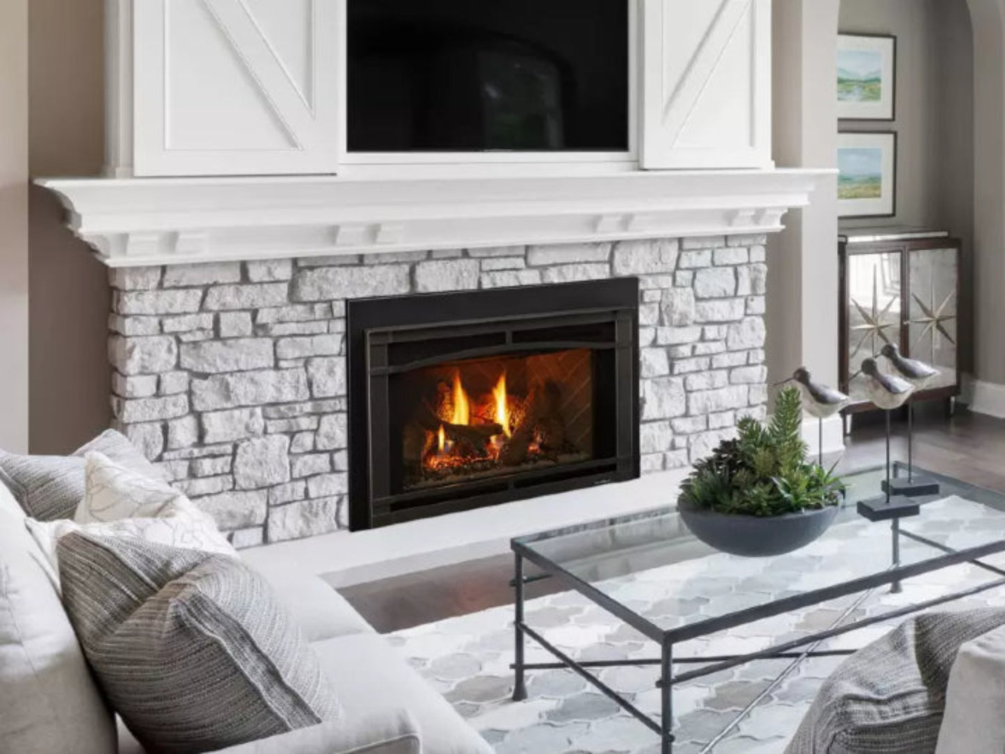 Supreme Insert 25" - Heat & Glo Fireplace Insert - SUPREME-I25-IFT