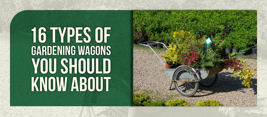 16 Types of Gardening Wagons You Should Know About