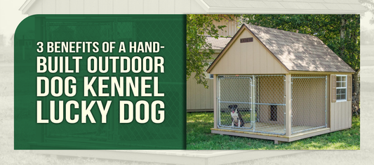 3 Benefits of a Hand-Built Outdoor Dog Kennel
