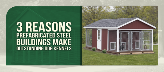 3 Reasons Prefabricated Steel Buildings Make Outstanding Dog Kennels