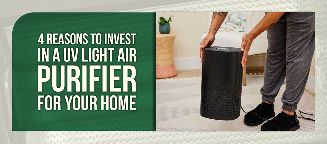4 Reasons to Invest in a UV Light Air Purifier for Your Home