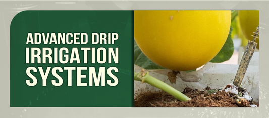 Advanced Drip Irrigation Systems