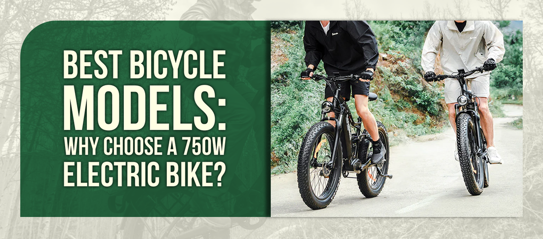 Best Bicycle Models: Why Choose a 750W Electric Bike?