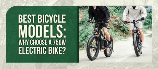 Best Bicycle Models: Why Choose a 750W Electric Bike?