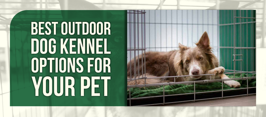Best Outdoor Dog Kennel Options for Your Pet