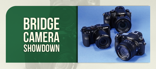 Bridge Camera Showdown