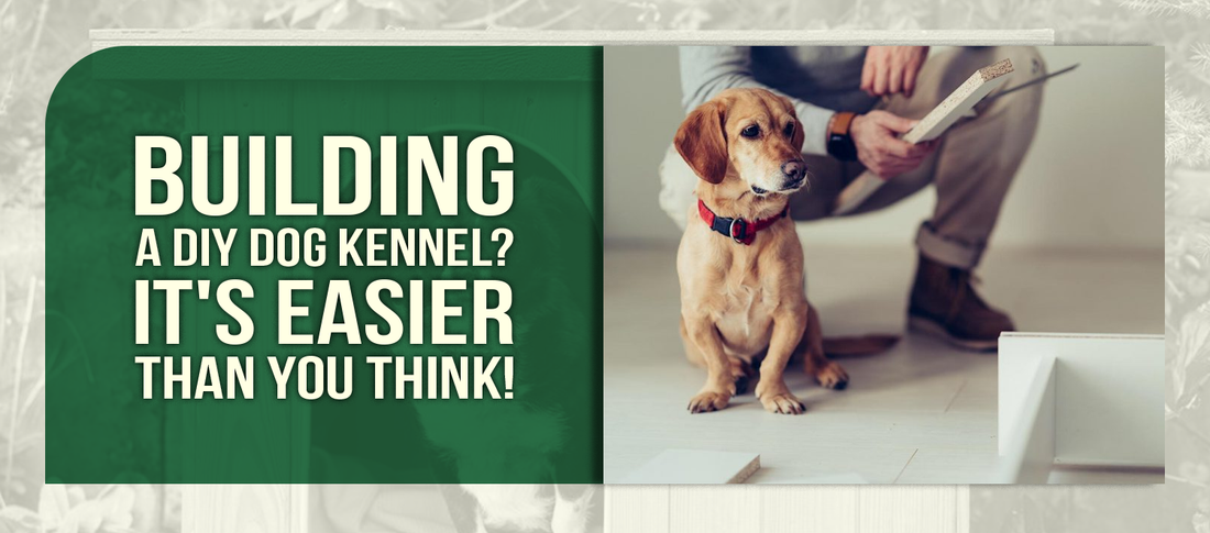 Building a DIY Dog Kennel? It's Easier Than You Think!