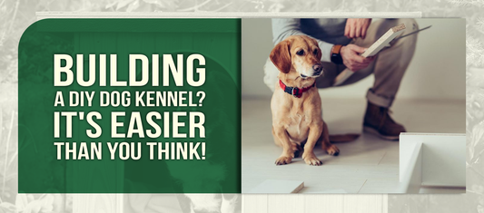Building a DIY Dog Kennel? It's Easier Than You Think!