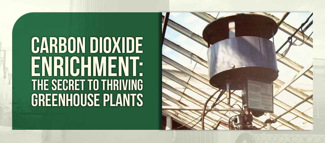 Carbon Dioxide Enrichment: The Secret to Thriving Greenhouse Plants