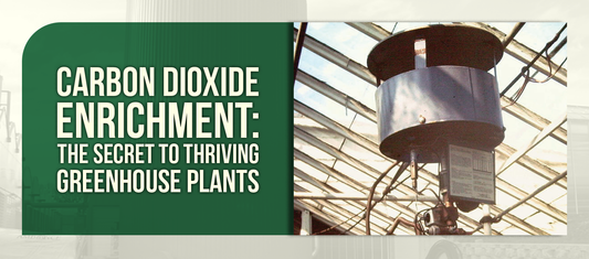 Carbon Dioxide Enrichment: The Secret to Thriving Greenhouse Plants