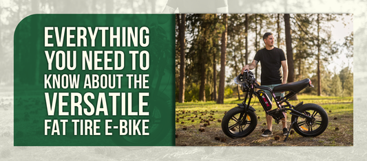 Everything You Need to Know About the Versatile Fat Tire E-Bike