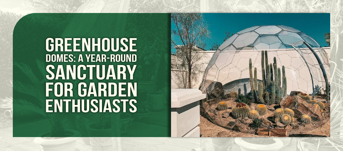 Greenhouse Domes: A Year-Round Sanctuary for Garden Enthusiasts
