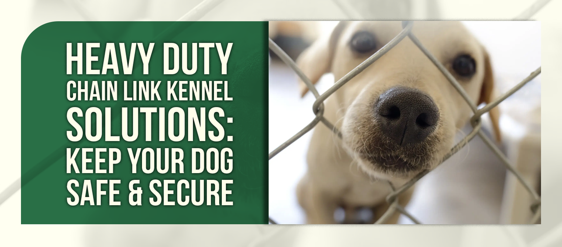 Heavy Duty Chain Link Kennel Solutions: Keep Your Dog Safe & Secure