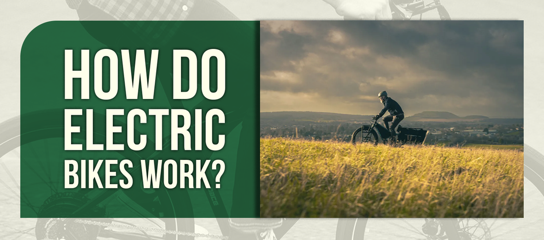 How Do Electric Bikes Work?