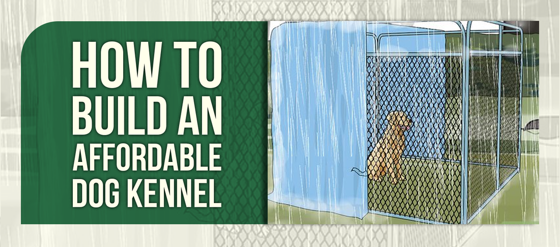 How to Build an Affordable Dog Kennel