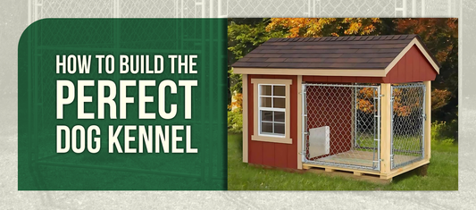 How to Build the Perfect Dog Kennel