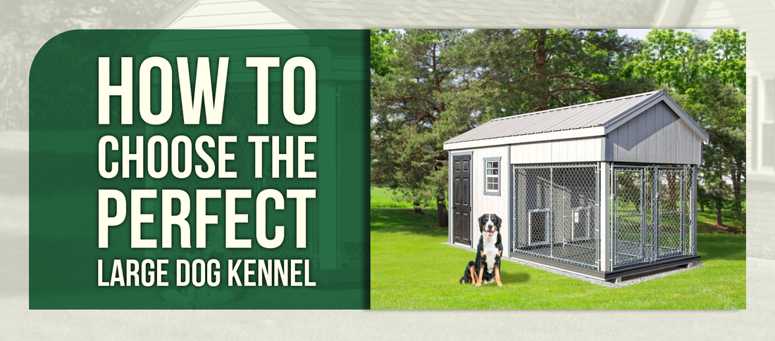 How to Choose the Perfect Large Dog Kennel