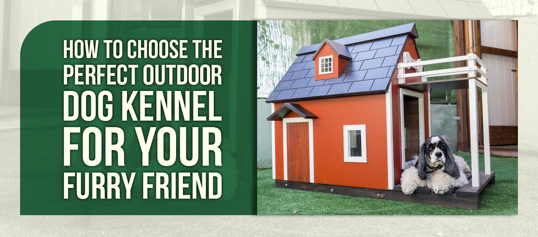 How to Choose the Perfect Outdoor Dog Kennel for Your Furry Friend