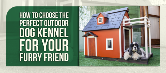 How to Choose the Perfect Outdoor Dog Kennel for Your Furry Friend