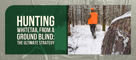 Hunting Whitetail from a Ground Blind: The Ultimate Strategy