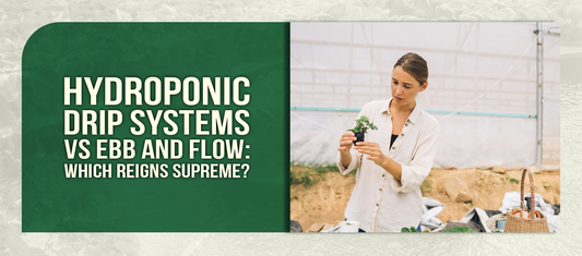 Hydroponic Drip Systems vs Ebb and Flow: Which Reigns Supreme?