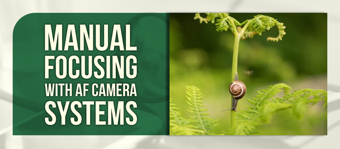 Manual Focusing with AF Camera Systems