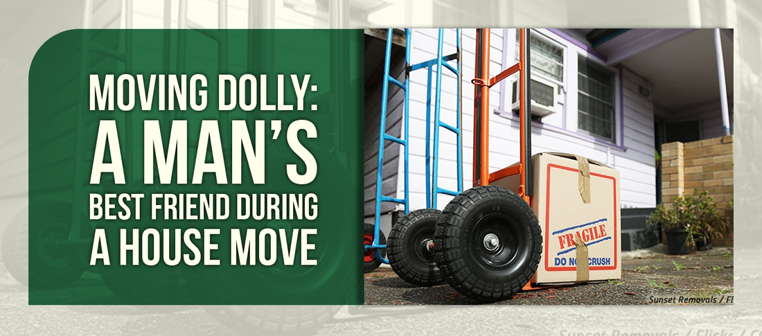 Moving Dolly: A Man’s Best Friend During a House Move