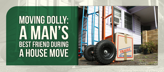 Moving Dolly: A Man’s Best Friend During a House Move