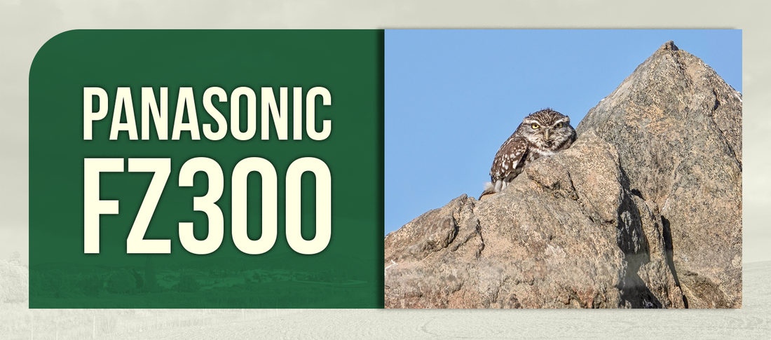Panasonic FZ300: The Ultimate All-Weather Bridge Camera for Outdoor Enthusiasts
