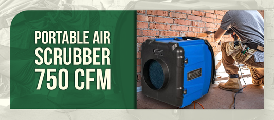 Portable Air Scrubber 750 CFM