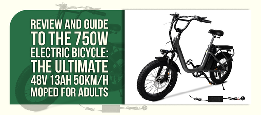 Review and Guide to the 750W Electric Bicycle: The Ultimate 48V 13Ah 50KM/H Moped for Adults