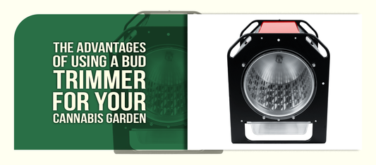 The Advantages of Using a Bud Trimmer for Your Cannabis Garden