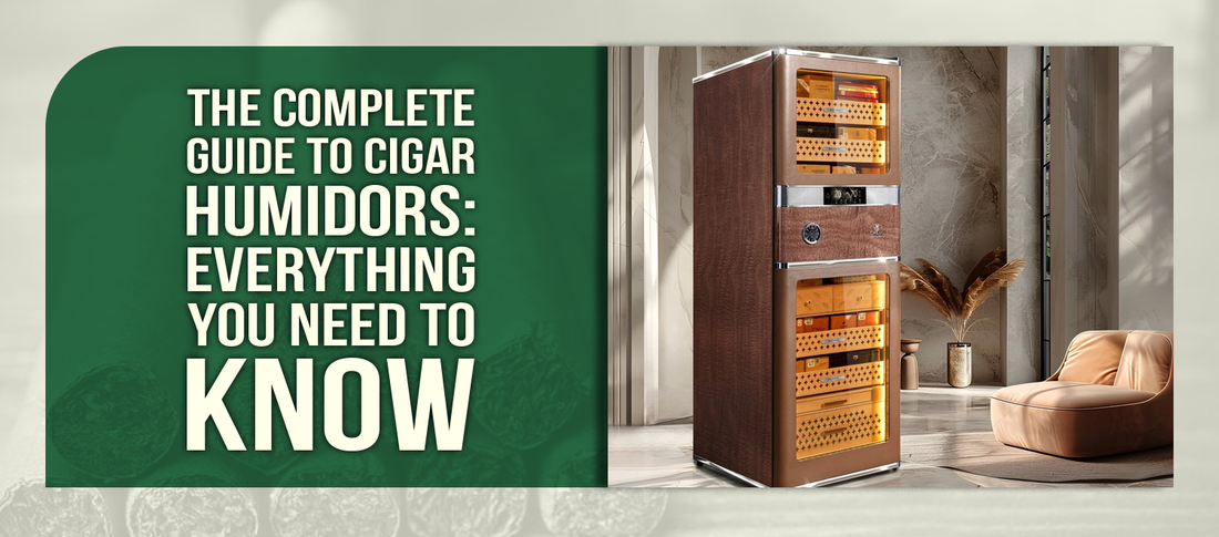 The Complete Guide to Cigar Humidors: Everything You Need to Know