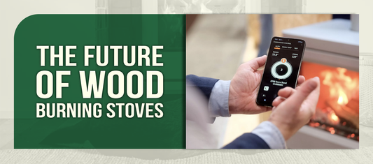 The Future of Wood Burning Stoves