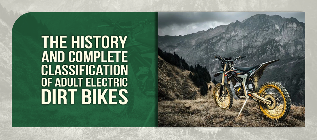 The History and Complete Classification of Adult Electric Dirt Bikes