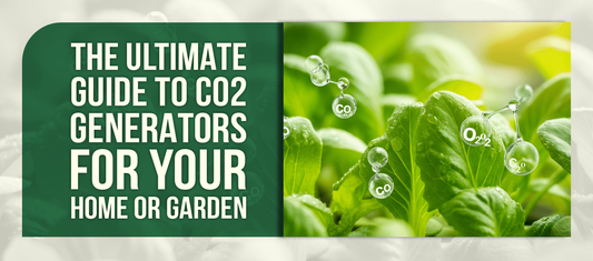 The Ultimate Guide to CO2 Generators for Your Home or Garden