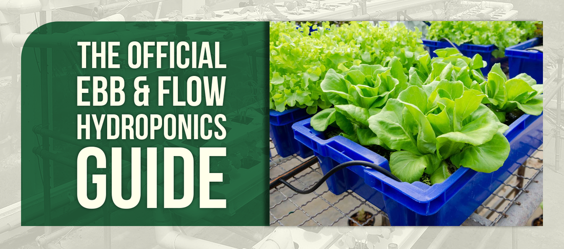 The Official Ebb & Flow Hydroponics Guide