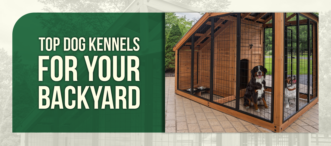 Top Dog Kennels for Your Backyard: Durable, Secure &amp; All-Weather Designs