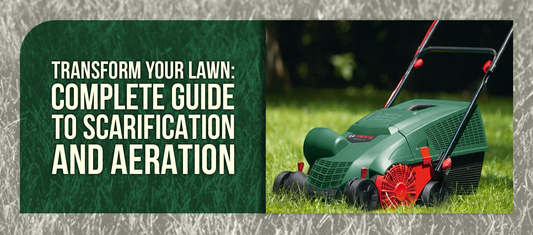 Transform Your Lawn: Complete Guide to Scarification and Aeration