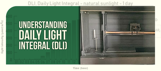 Understanding Daily Light Integral (DLI)
