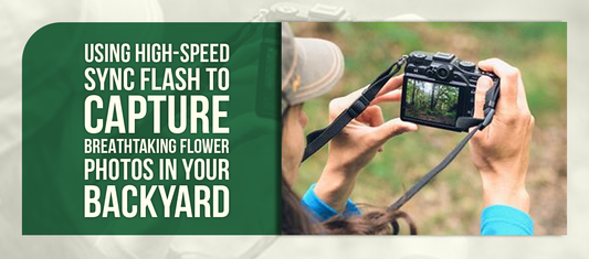 Using High‑Speed Sync Flash to Capture Breathtaking Flower Photos in Your Backyard