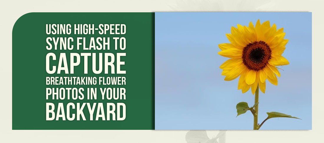 Using High‑Speed Sync Flash to Capture Breathtaking Flower Photos in Your Backyard