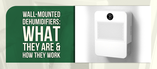 Wall-Mounted Dehumidifiers: What They Are & How They Work