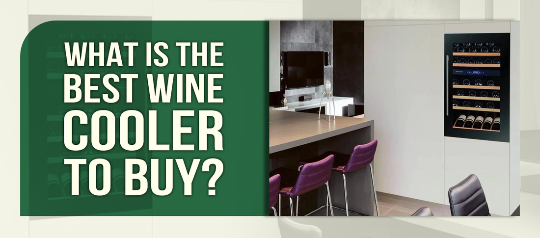 What Is the Best Wine Cooler to Buy?